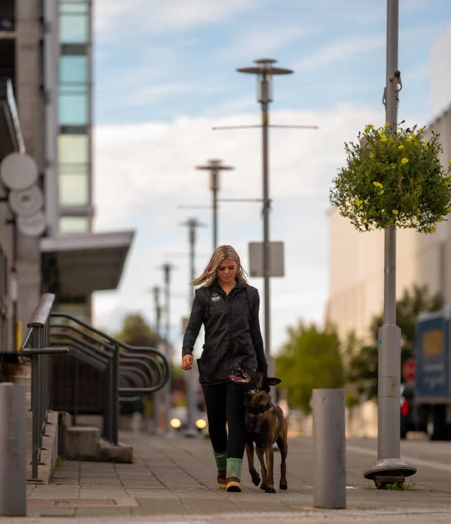 Forget Me Not Dog Training - A woman walks a large dog on a city sidewalk, with buildings, street lamps, and a hanging flower basket visible in the background.