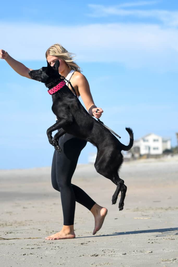 Forget Me Not Dog Training - A woman in black leggings strolls barefoot on a Charleston beach, accompanied by a lively puppy with a pink collar jumping beside her. Houses dot the scenic South Carolina background.