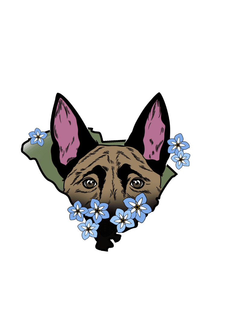 Forget Me Not Dog Training - Drawing of a dog's head peeking through a hole with purple ears and brown eyes, reminiscent of a beloved pet from South Carolina. Blue flowers with yellow centers surround the dog's face, capturing the essence of a gentle trainer's companion.