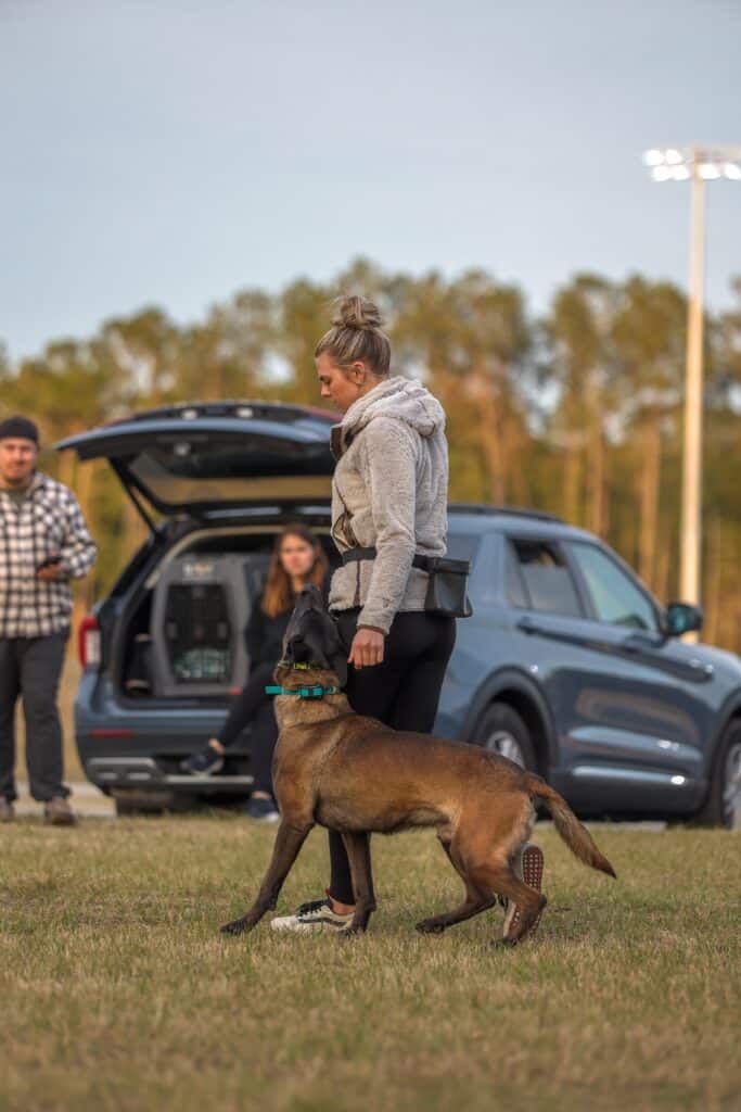 Forget Me Not Dog Training - A person walks a dog on the grassy field of Charleston, with an open car trunk in the background; nearby, a dog trainer chats with another bystander.