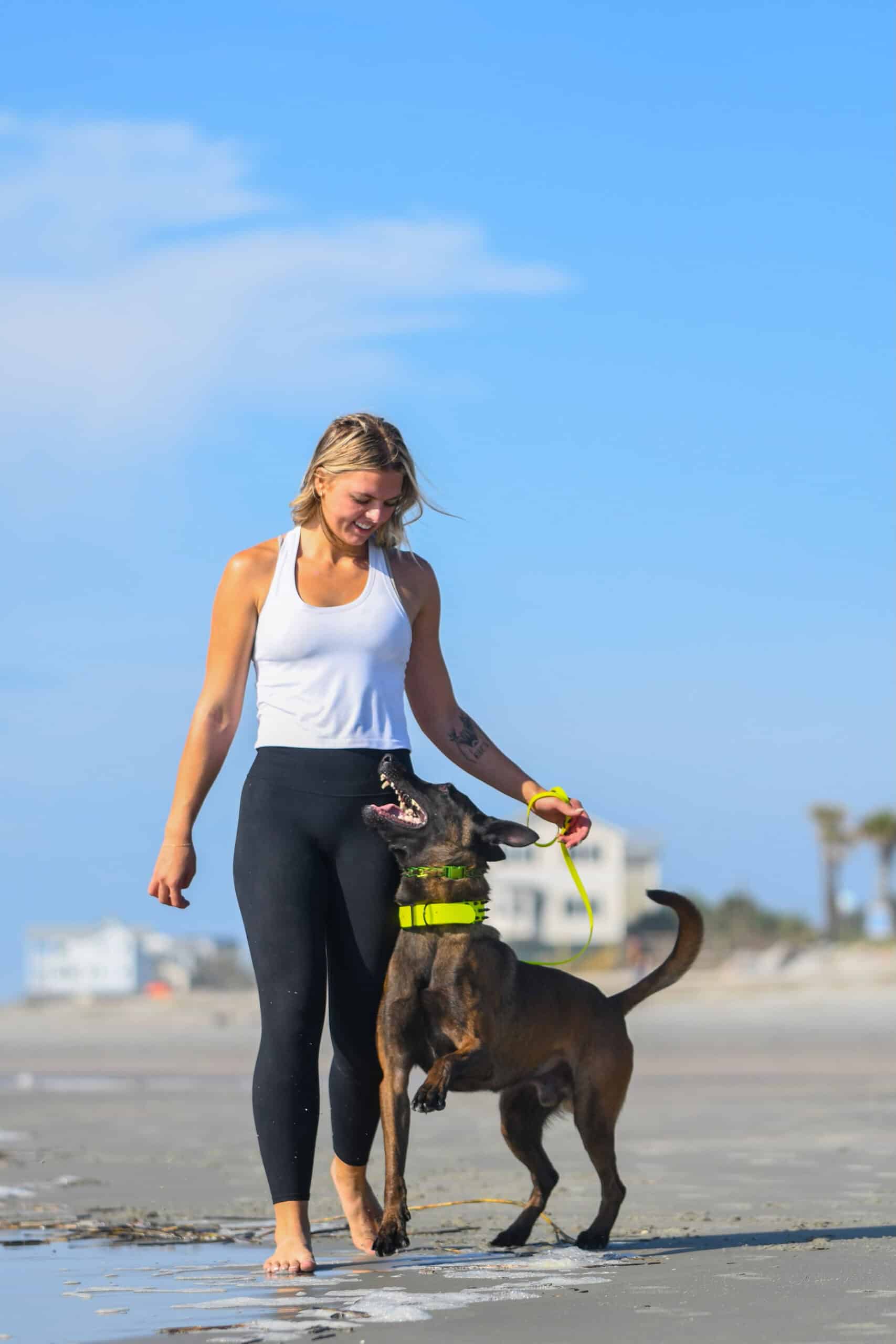 Forget Me Not Dog Training - Woman in athletic wear walks a brown dog on a leash along a beach, with houses and palm trees visible in the background.